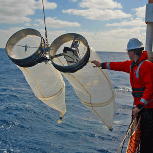 Bongo (CalBOBL) Net