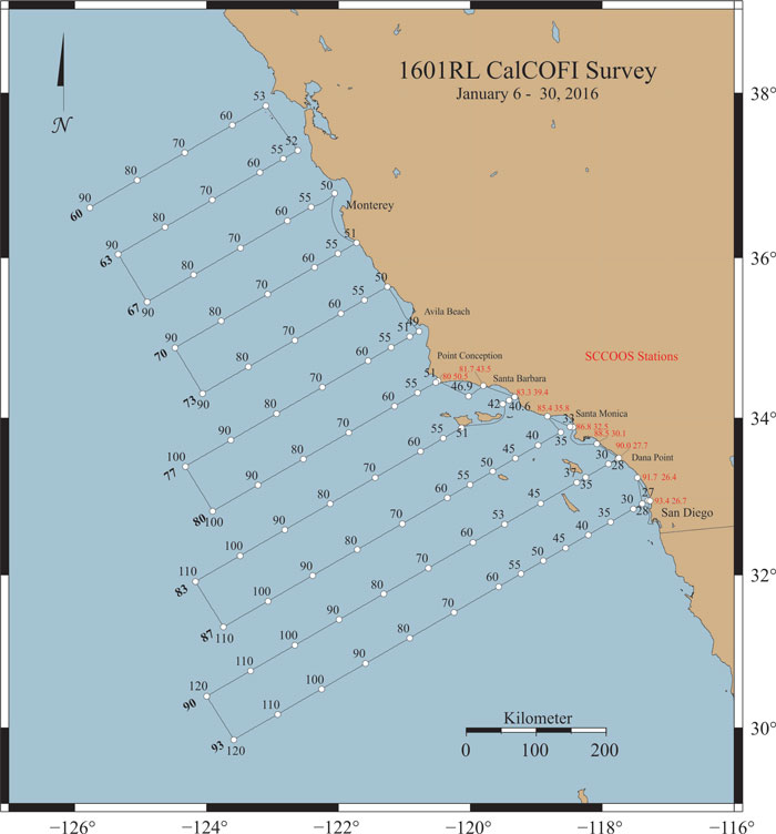 1601RL Cruise Instructions