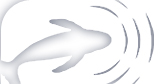 Scripps Whale Acoustics Lab